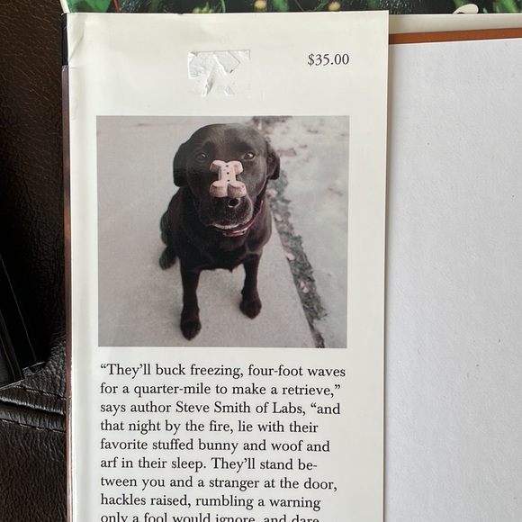 Labrador Retriever Table Book Bundle - Picture 7 of 9